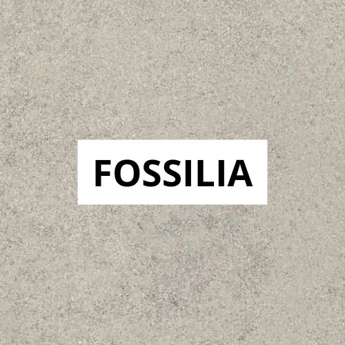 colección fossilia