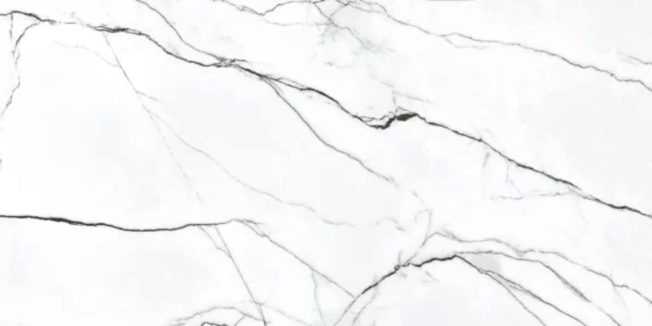 Marquina blanco - Magnifica