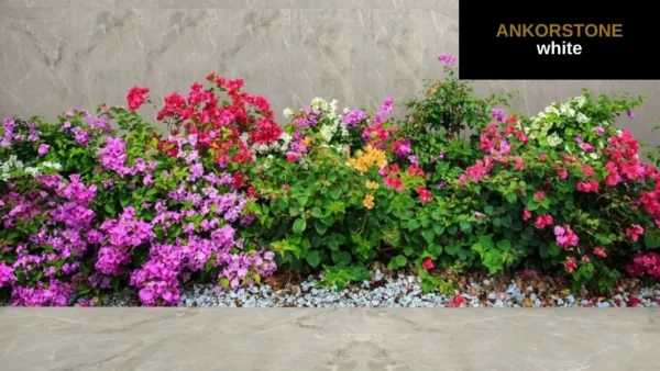 suelo exterior - Ankorstone white_1_11zon