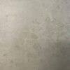 Fossilia Grigio Magnifica Collection