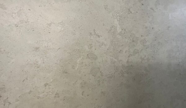 Fossilia Grigio Magnifica Collection